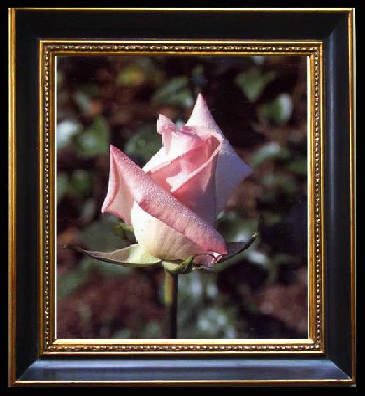 framed  unknow artist Still life floral, all kinds of reality flowers oil painting  137, Ta093